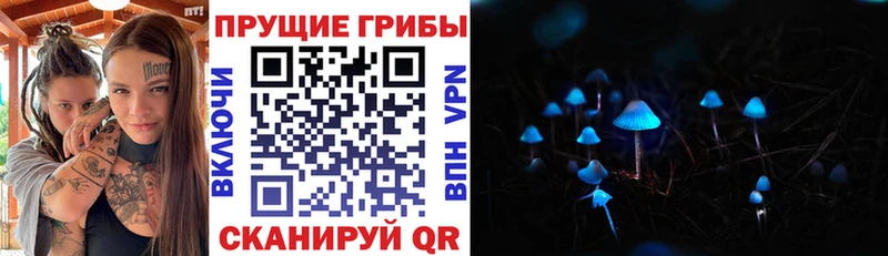 купить наркоту  Коммунар  МЕГА рабочий сайт  Галлюциногенные грибы Cubensis 
